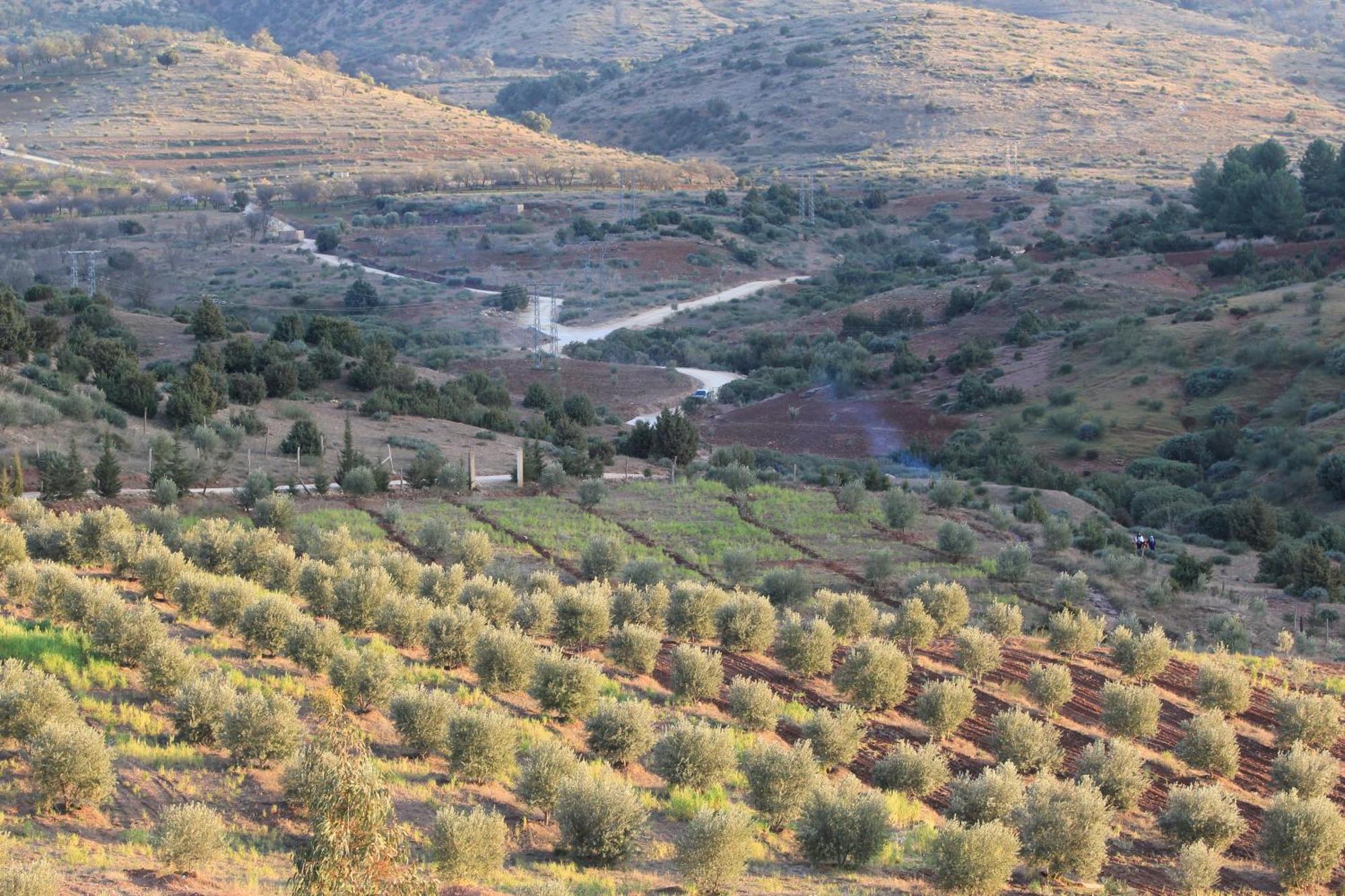 דירות דמנאת La Belle Vue Elmazini מראה חיצוני תמונה